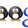 Seu Blog tem medo de Pinguins e Pandas? Google Penguin Update