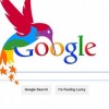 O Beija-flor assassino do Google: Hummingbird Update